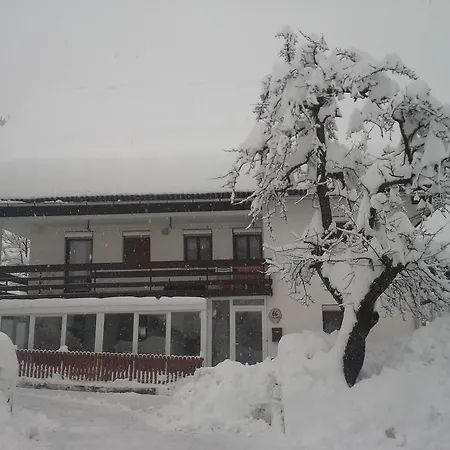 žnidar *