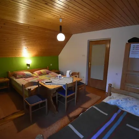Guest house Znidar *
