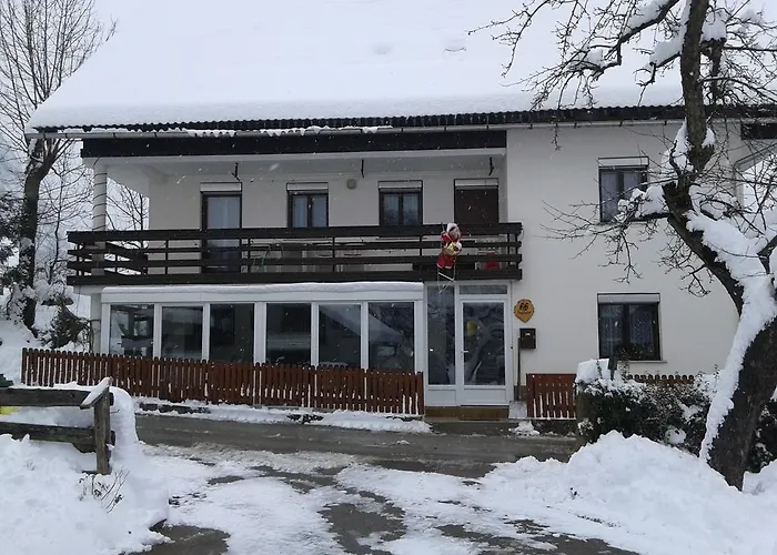 Pensjonat Znidar Bohinj